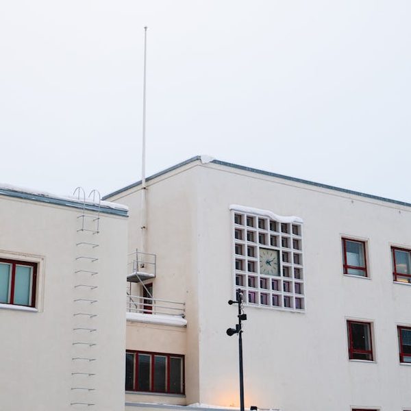 Mid-Century Style Minimal Face Cuckoo Clock