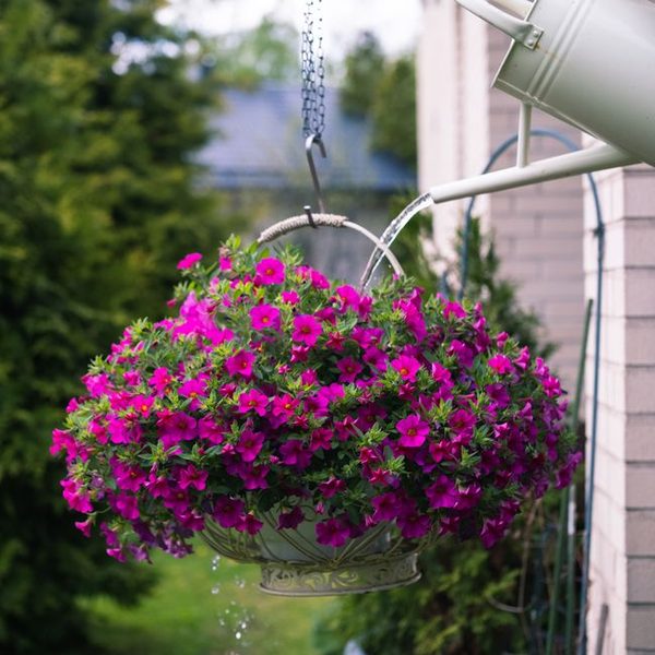 Cedar Engraved Initials Garden Lantern
