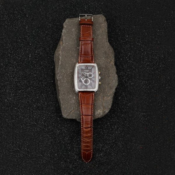 Stainless Steel Quartz Watch